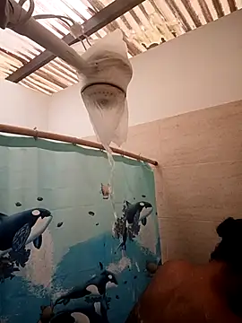 Zaira Rose  online show from 02/24/26, 01:09