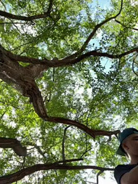 arevalo1124 online show from 12/05/25, 03:52