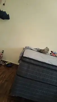 Snapshot of JapeDoBryan chatting on 05/16/26, 06:28 JapeDoBryan online show from 05/16/26, 06:28