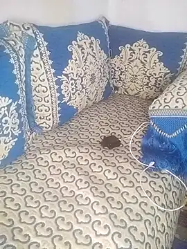 Snapshot of pora-34 chatting on 11/01/25, 12:40 pora-34 online show from 11/01/25, 12:40