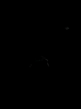 Snapshot of Codybugs0206 chatting on 11/22/25, 11:59 Codybugs0206 online show from 11/22/25, 11:59