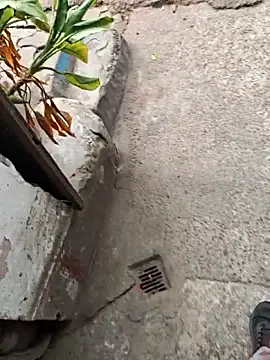 sethgamble000777 online show from 12/20/25, 09:05