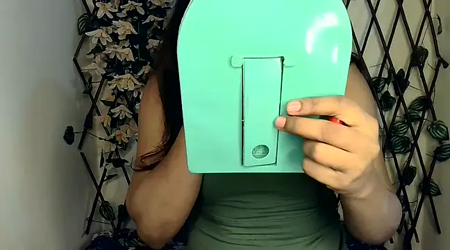 Snapshot of PAYAL_SONI_ chatting on 02/20/25, 06:02 PAYAL SONI online show from 02/20/25, 06:02