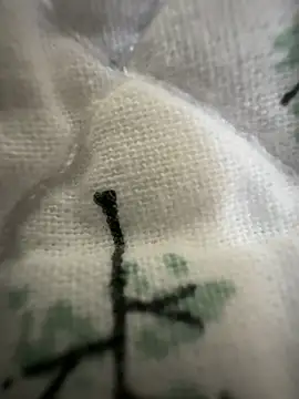 Snapshot of sissyboijamie1313 chatting on 02/28/26, 08:54 sissyboijamie1313 online show from 02/28/26, 08:54