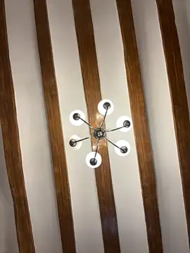 Snapshot of laarti chatting on 11/19/25, 10:59 laarti online show from 11/19/25, 10:59