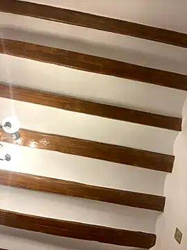 Snapshot of laarti chatting on 11/28/25, 04:42 laarti online show from 11/28/25, 04:42