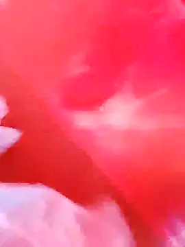 Snapshot of dominationmybigdick chatting on 12/03/25, 09:51 dominationmybigdick online show from 12/03/25, 09:51