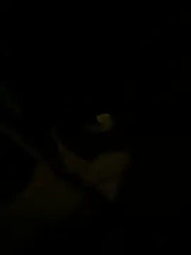 Snapshot of sark0606 chatting on 02/06/25, 04:58 sark0606 online show from 02/06/25, 04:58