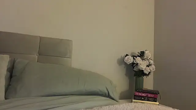 Snapshot of skyejde chatting on 11/17/25, 09:53 skyejde online show from 11/17/25, 09:53