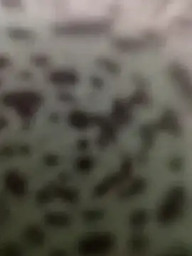 Snapshot of Yashkumar_0697 chatting on 10/13/25, 08:42 Yashkumar 0697 online show from 10/13/25, 08:42