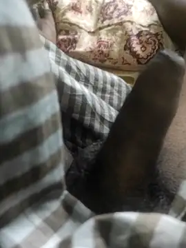 Snapshot of Tamil_small_cock chatting on 02/18/25, 06:37 Tamil small cock online show from 02/18/25, 06:37