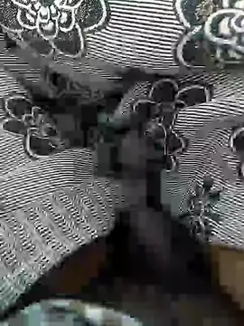 Snapshot of Tamil_small_cock chatting on 03/05/25, 10:00 Tamil small cock online show from 03/05/25, 10:00
