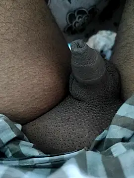 Snapshot of Tamil_small_cock chatting on 03/07/25, 09:07 Tamil small cock online show from 03/07/25, 09:07