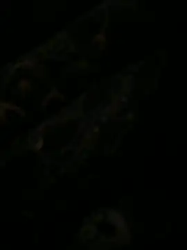 leonard  123 online show from 02/06/25, 10:10