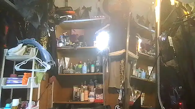 Snapshot of ShysluutGia chatting on 01/31/26, 10:08 ShysluutGia online show from 01/31/26, 10:08