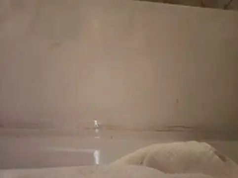 Snapshot of ShysluutGia chatting on 02/19/26, 12:56 ShysluutGia online show from 02/19/26, 12:56