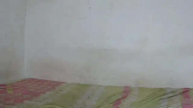 Snapshot of Majo_BigTits chatting on 11/30/25, 08:13 Majo BigTits online show from 11/30/25, 08:13