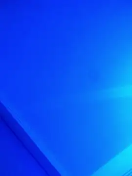 Brunohornyxh online show from 01/09/26, 08:39