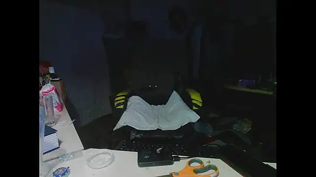 Snapshot of TommyDoggg chatting on 03/02/25, 01:58 TommyDoggg online show from 03/02/25, 01:58