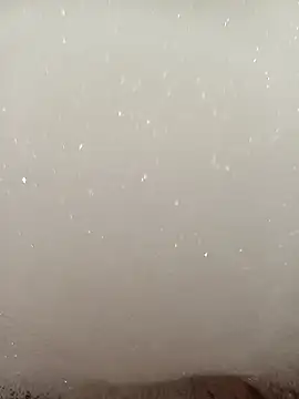 flo000031 online show from 01/16/26, 12:53