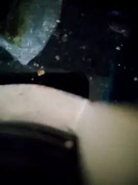 Loly2025 online show from 11/15/25, 06:15