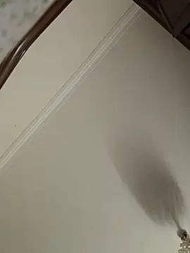 Loly2025 online show from 04/19/26, 01:16