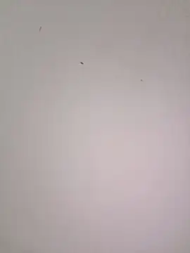 EmmaSulivan online show from 02/21/26, 11:11