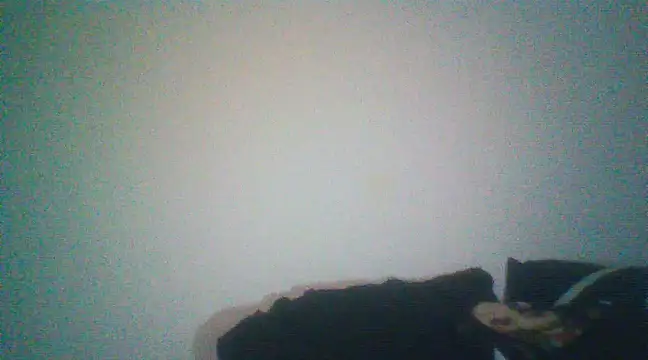 Snapshot of Otravidacol chatting on 02/20/25, 01:46 Otravidacol online show from 02/20/25, 01:46