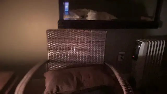 Snapshot of DominantDong chatting on 02/28/25, 11:25 DominantDong online show from 02/28/25, 11:25