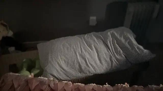 Snapshot of DominantDong chatting on 03/09/25, 11:56 DominantDong online show from 03/09/25, 11:56