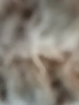 mauroxx08 online show from 04/05/26, 03:20