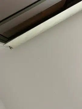 Snapshot of tu-bebitaa chatting on 03/12/25, 07:02 tu-bebitaa online show from 03/12/25, 07:02