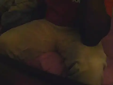 Fuckmehardandcloudy online show from 03/21/26, 08:45