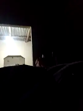 lilpip online show from 02/17/26, 03:14