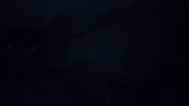 Mrpito7878 online show from 03/08/25, 02:40