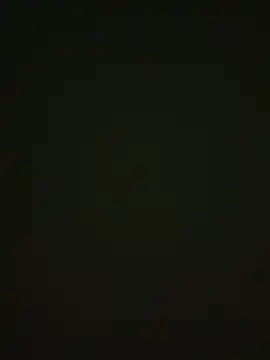 Snapshot of 464a-err chatting on 11/12/25, 04:40 464a-err online show from 11/12/25, 04:40