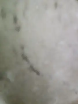 pussyfatasss online show from 09/27/25, 05:23