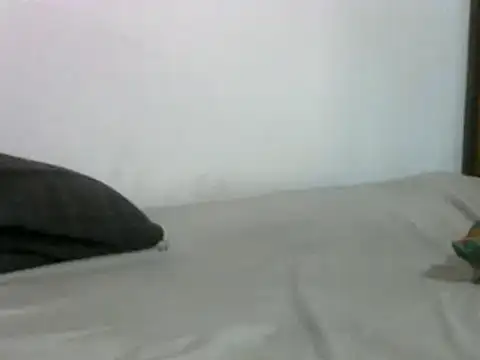 sissydinu online show from 03/17/25, 05:12