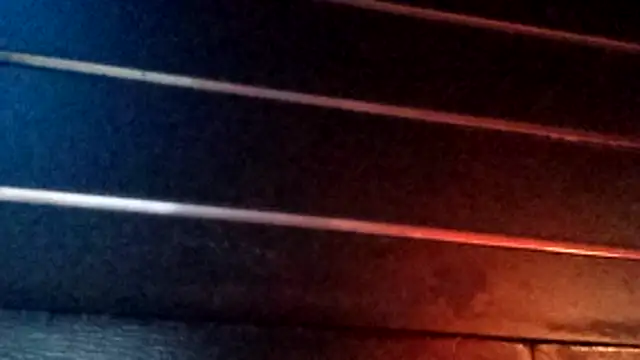 wetnwildforyou online show from 10/29/25, 04:37