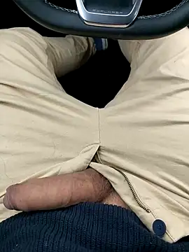 bavaricus123 online show from 04/13/26, 06:08