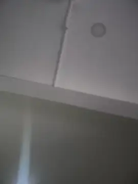 Mila LS online show from 11/26/25, 12:50