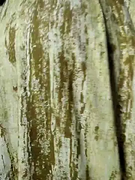 Snapshot of mens_weakness chatting on 11/02/25, 06:49 mens weakness online show from 11/02/25, 06:49