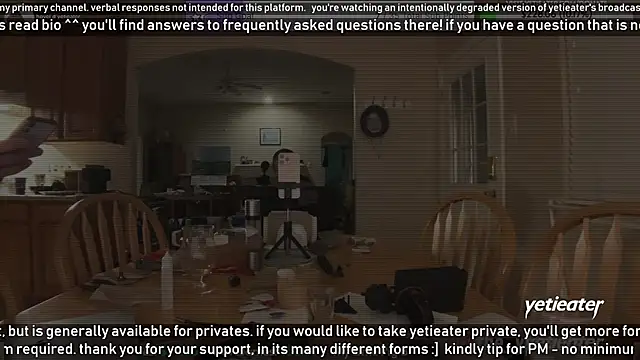Snapshot of yetieater chatting on 12/30/24, 03:58 yetieater online show from 12/30/24, 03:58