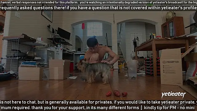 Snapshot of yetieater chatting on 03/16/25, 05:07 yetieater online show from 03/16/25, 05:07