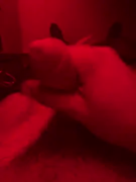 Snapshot of ruchacz24 chatting on 10/14/25, 01:50 ruchacz24 online show from 10/14/25, 01:50