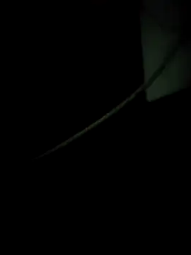 Snapshot of enoc369 chatting on 12/04/25, 08:12 enoc369 online show from 12/04/25, 08:12