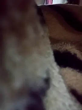 Snapshot of karabokau21 chatting on 09/26/25, 10:25 karabokau21 online show from 09/26/25, 10:25