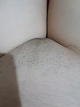 yakot7 online show from 10/31/25, 12:11