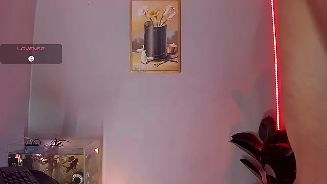 CRAZY-BOY99 online show from 10/31/25, 10:05