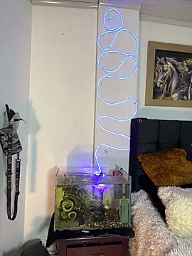 CRAZY-BOY99 online show from 12/16/25, 11:04